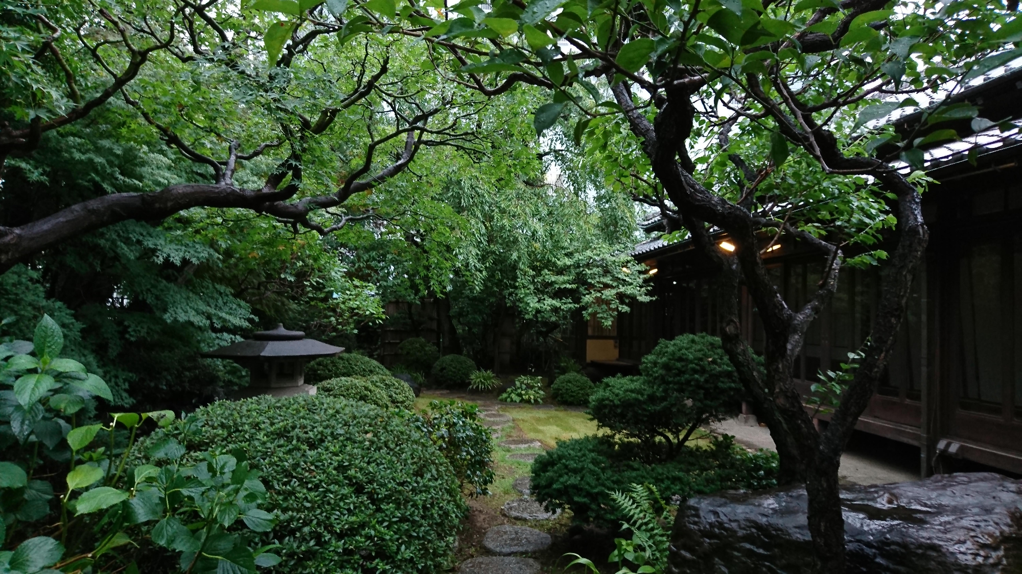  縁側カフェ「昭和の家」の剪定②